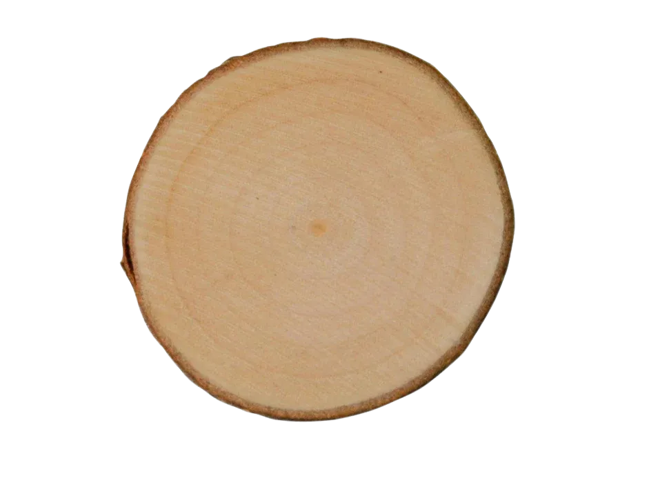 [14002614] POPULIERSCHIJF 12-15CM