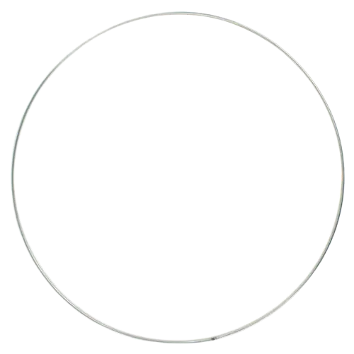 [087.3004] Metalen ringen (30)